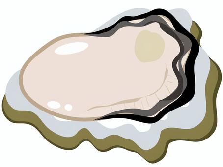 殻付きの牡蠣の身 牡蠣,オイスター,殻付き,貝,シーフード,プリプリ,アイコン,美味しいのイラスト素材