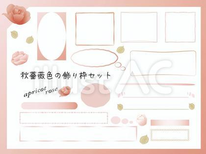 薔薇の飾り枠セット(アプリコットローズ)