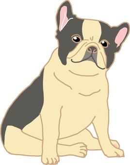 French bulldog, , JPG, PNG and AI