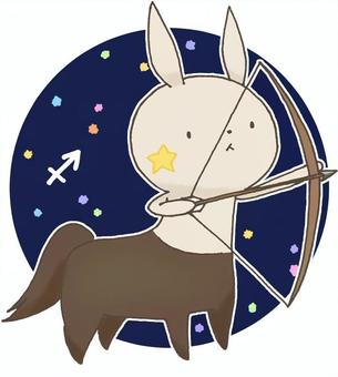 Constellation Usagi 11 Constellation Usagi 11
