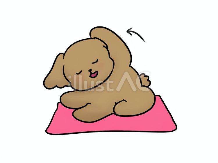 ヨガをする犬④ ヨガ,犬,マットのイラスト素材