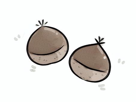 くり2 栗,果実,毛,秋,食用,複数,皮のイラスト素材