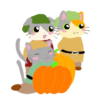 猫と大きいカボチャ 猫,大きい,カボチャ,可愛い,ゆるい,イラストのイラスト素材