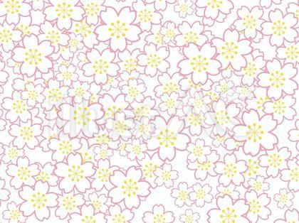 多すぎる!白桜の背景・横