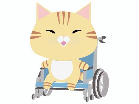 車椅子_猫 車椅子,猫,ちゃとら,笑顔,動物,かわいい,医療のイラスト素材