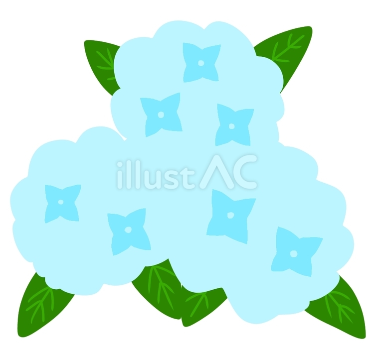 3つ並んだ紫陽花青 紫陽花,花,植物のイラスト素材