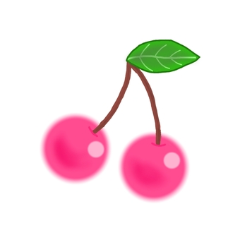 벚꽃 벚꽃