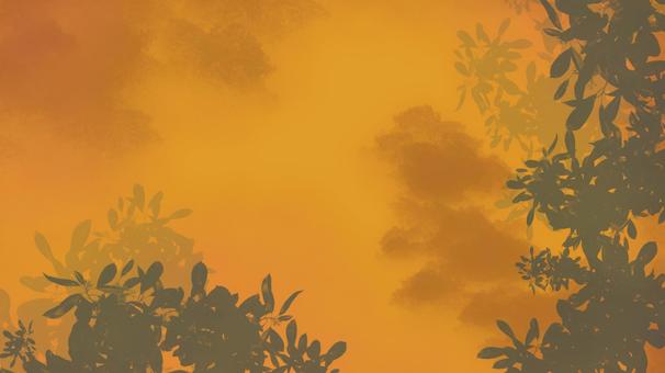 見上げたのは夕暮れ時の黄金色の空な背景 チラシ,広告,web,景色,夕暮れ,黄金色,空,空模様,木,林のイラスト素材