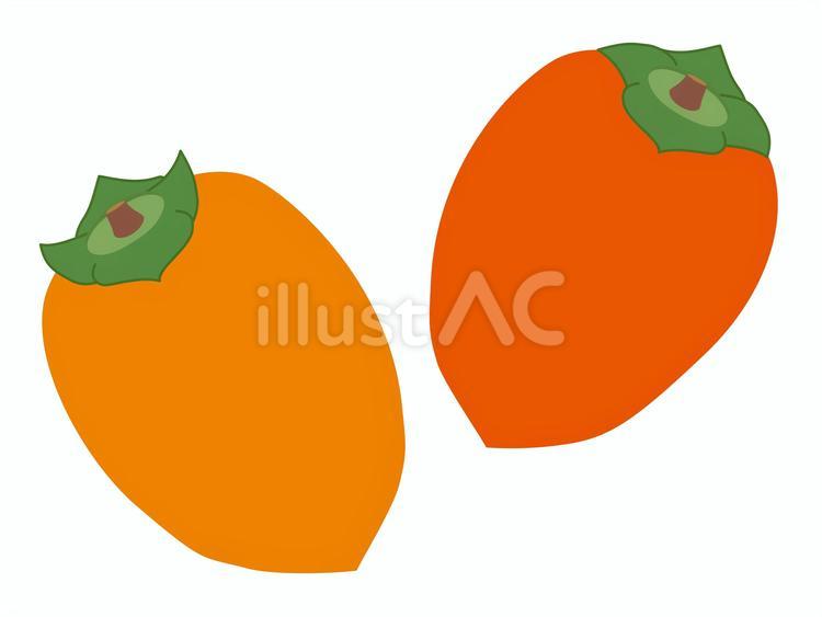 筆柿２つ 柿,筆柿,丸ごとのイラスト素材