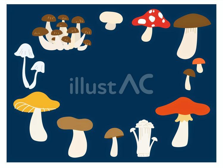 きのこのイラストフレーム素材 榎茸,ブナシメジ,ぶなしめじのイラスト素材