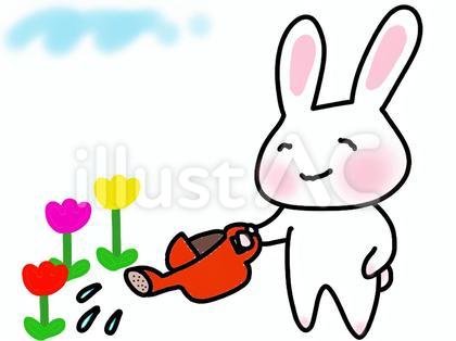 お花に水やりするウサギ