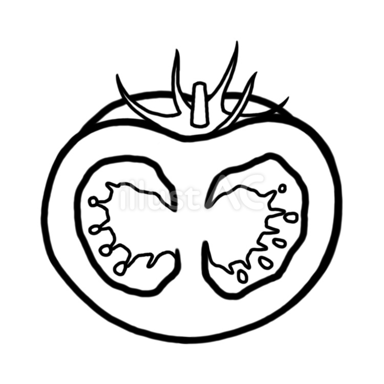 トマト　断面　白黒 トマト,野菜,植物のイラスト素材