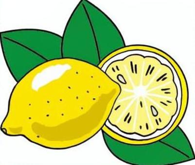 Illustration, lemon, leaf, cut lemon, 
