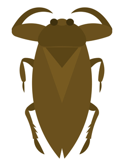 Illustration, tagame, insect, summer, 
