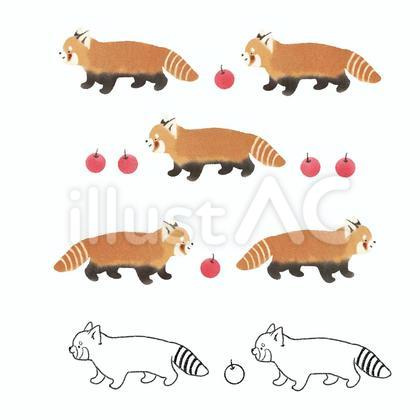 レッサーパンダと林檎 ライン