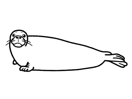 アザラシ アザラシ,海,水族館,生き物,塗り絵のイラスト素材