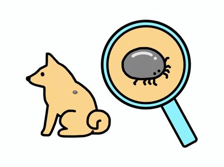 Illustration, mite, ticks, pest, 