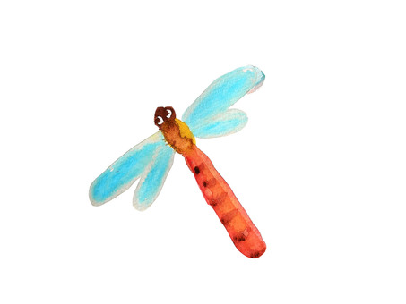 Dragonfly, red dragonfly, autumn, insect, JPG and PNG