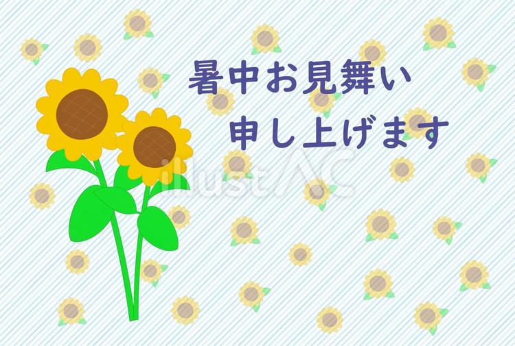 ひまわりの暑中お見舞い　 ひまわり,夏,暑中見舞いのイラスト素材