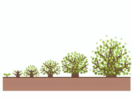木の成長 木の成長 木,植物,葉,緑,生長,自然,子葉,芽,成長,変化のイラスト素材