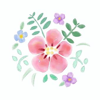 Watercolor Flower, flower, watercolor, free, JPG, PNG and AI