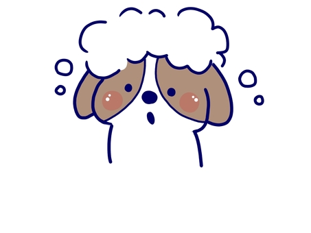 シャンプーをしているキャバリア 犬,キャバリア,シャンプー,泡,綺麗,保護犬,家庭犬,小型犬,中型犬,無料のイラスト素材