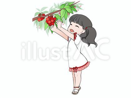 さくらんぼ狩り、果物の収穫をする女の子