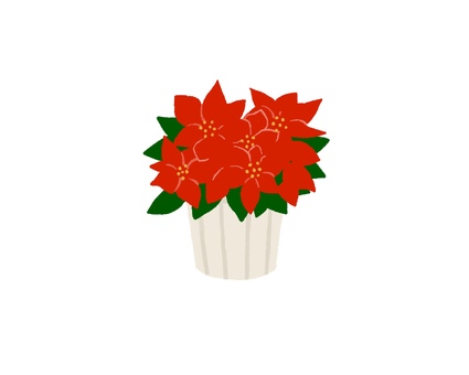 ポインセチア01 ポインセチア,植物,冬,クリスマス,赤,葉,鉢植え,園芸,インテリアのイラスト素材