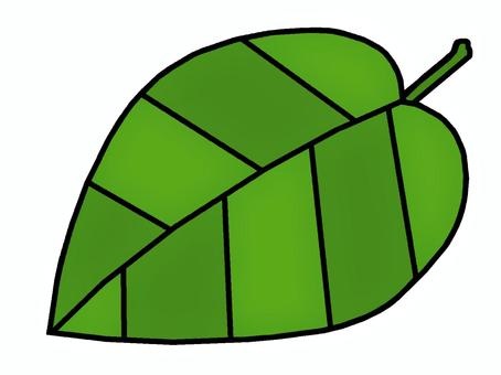 葉 葉,植物,器官,維管束,光合成,イラストのイラスト素材