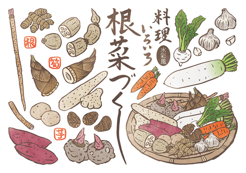 筆書き-根菜づくし-水彩風 根菜,野菜,ウコン,蕪,牛蒡,ごぼう,蒟蒻芋,こんにゃく芋,薩摩芋,サツマイモのイラスト素材