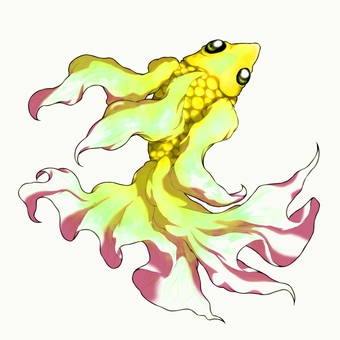 黄色の金魚 黄色,白色,金魚,魚,ひらひらのイラスト素材