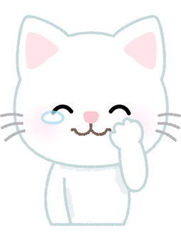 白猫涙笑顔 ネコ,涙,泣く,笑顔,涙もろい,もらい泣き,白猫,動物,キャット,ペットのイラスト素材