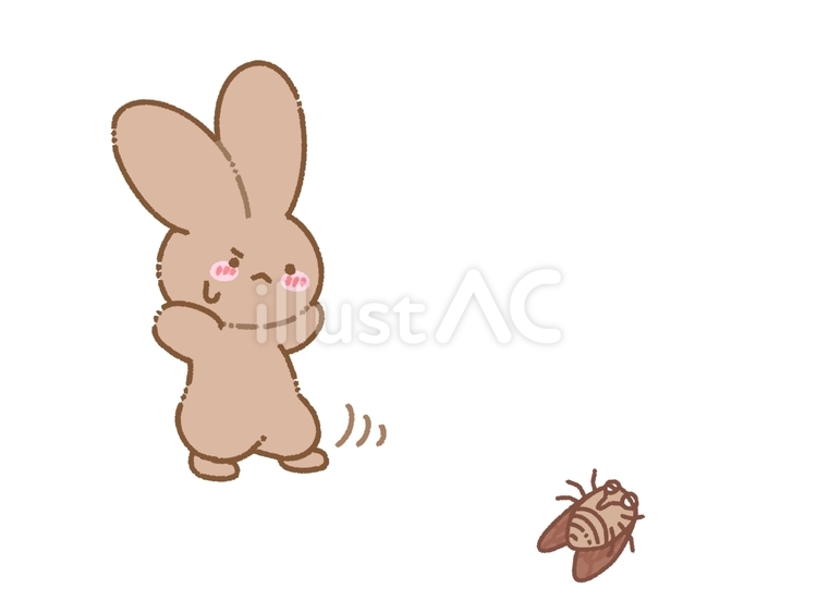 裏返ったセミを警戒する茶色うさぎ うさぎ,茶色,ブラウンのイラスト素材