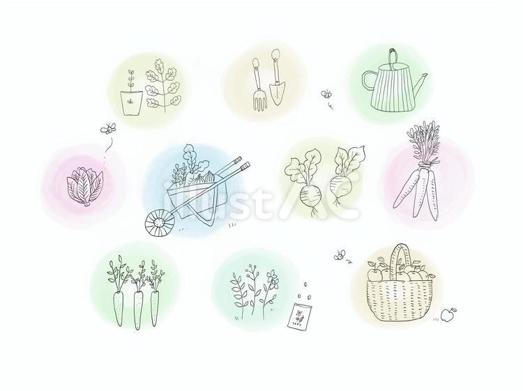 北欧デザインフレーム背景　ペン画水彩 水彩,イラスト,花のイラスト素材