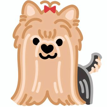 ハート鼻のヨークシャーテリア（立つ）1 ヨークシャーテリア,犬,動物,ハート,鼻,立つ,シンプル,かわいい,キュート,デフォルメのイラスト素材