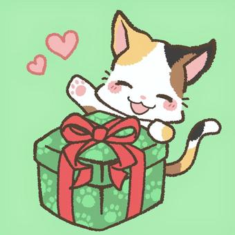 プレゼントをつかんで笑顔の三毛猫 プレゼント,猫,クリスマス,バレンタイン,誕生日,三毛猫,笑顔,嬉しい,ハート,動物のイラスト素材