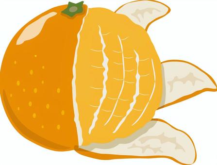 剥いたミカン みかん,オレンジ,フルーツ,果物,果実,皮,剥いた,剥く,デザート,スイーツのイラスト素材