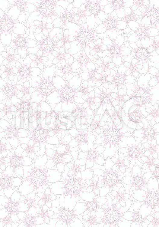 さくら咲く7 花,桜,春のイラスト素材
