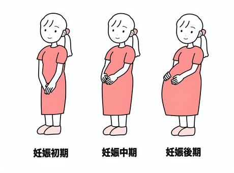 シンプル妊娠中女性（p） シンプル,人,女,妊娠,妊婦,妊娠初期,妊娠中期,妊娠後期,マタニティ,出産予定のイラスト素材