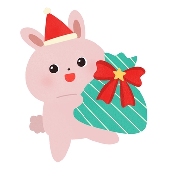 クリスマスプレゼントを持ったうさぎ