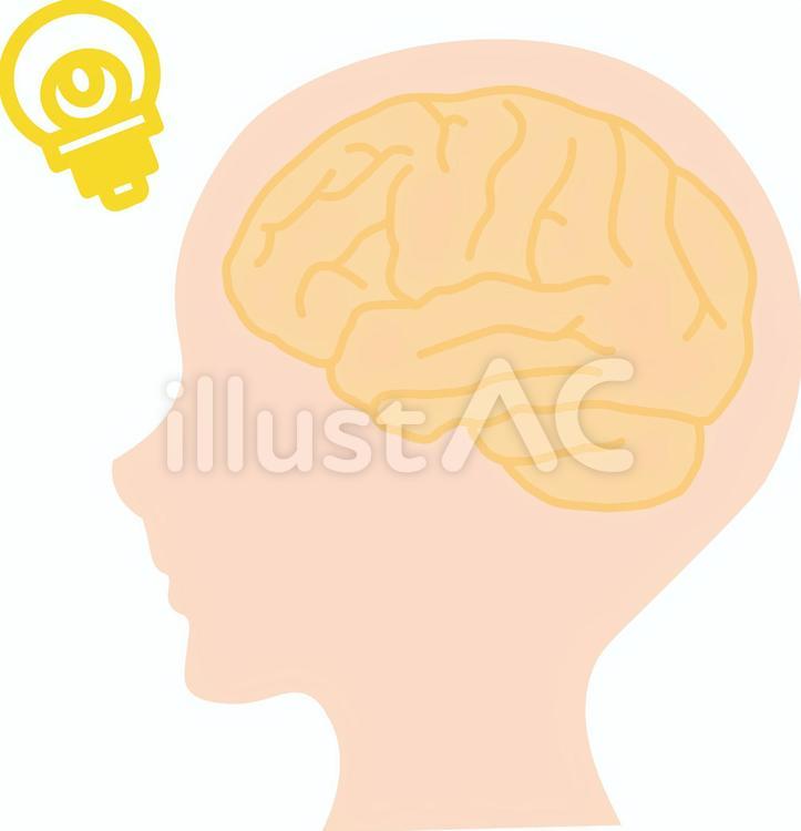 人体　脳　 人体,人工知能,ひらめきのイラスト素材