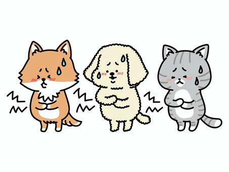 お腹が不調な犬猫トリオ いぬ,ねこ,腹痛,胃痛,胃腸炎,胃腸風邪,食あたり,食中毒,下痢,便秘のイラスト素材