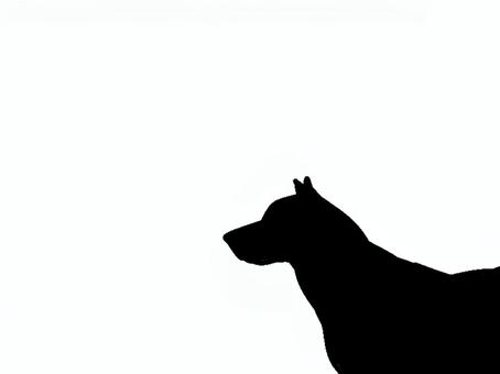 犬。。 犬,シルエット,動物,背景透過,黒犬,素材,ペット,哺乳類,アイコン,影絵のイラスト素材