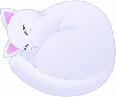 丸くなって寝る猫(白猫) 丸くなって寝る猫(白猫) 猫,白猫,睡眠のイラスト素材