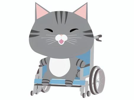 車椅子_猫 車椅子,猫,さばとら,笑顔,動物,かわいい,医療のイラスト素材
