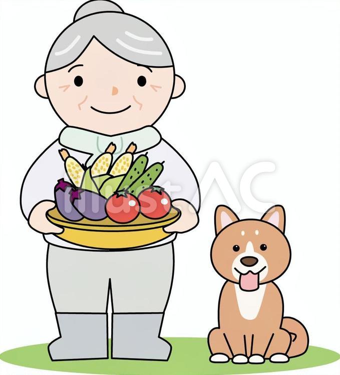 夏野菜持っているおばあちゃん おばあちゃん,夏野菜,収穫のイラスト素材