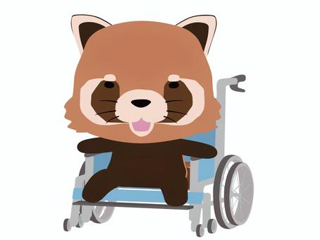 Wheelchair_Lesser panda, , JPG, PNG and AI