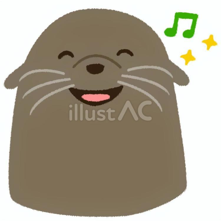 嬉しそうに喜んでいるアシカの顔のアップ アシカ,顔,楽しいのイラスト素材