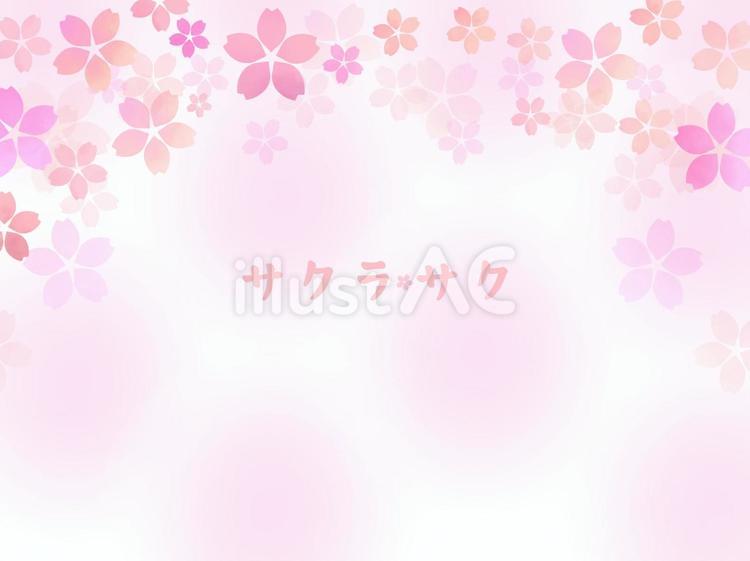 春・満開の桜の綺麗な水彩フレーム　10 桜,さくら,春のイラスト素材