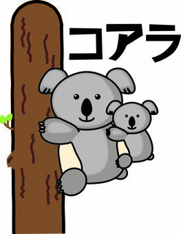 コアラ　 コアラ,動物園,オーストラリア,木,登る,親子,子供,カタカナ,キャラのイラスト素材